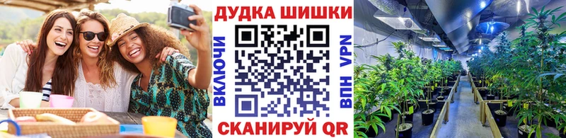 Конопля конопля  кракен зеркало  Чехов 